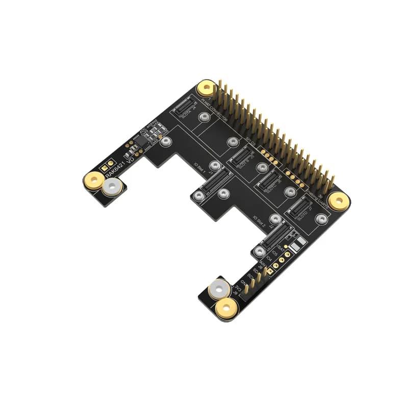 Шляпа WisBlock для Raspberry Pi | Модульная Pi HAT для интеграции датчиков WisBlock | RAK6421